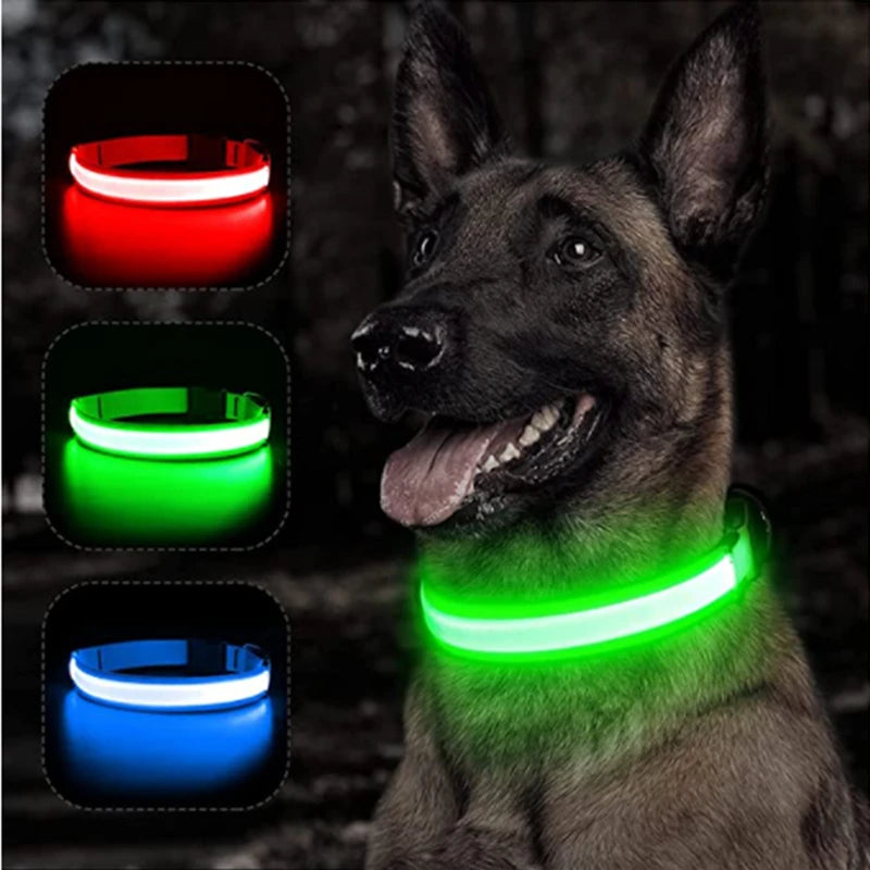 LED Dog Collar - Adjustable, Waterproof, Night Safety Light