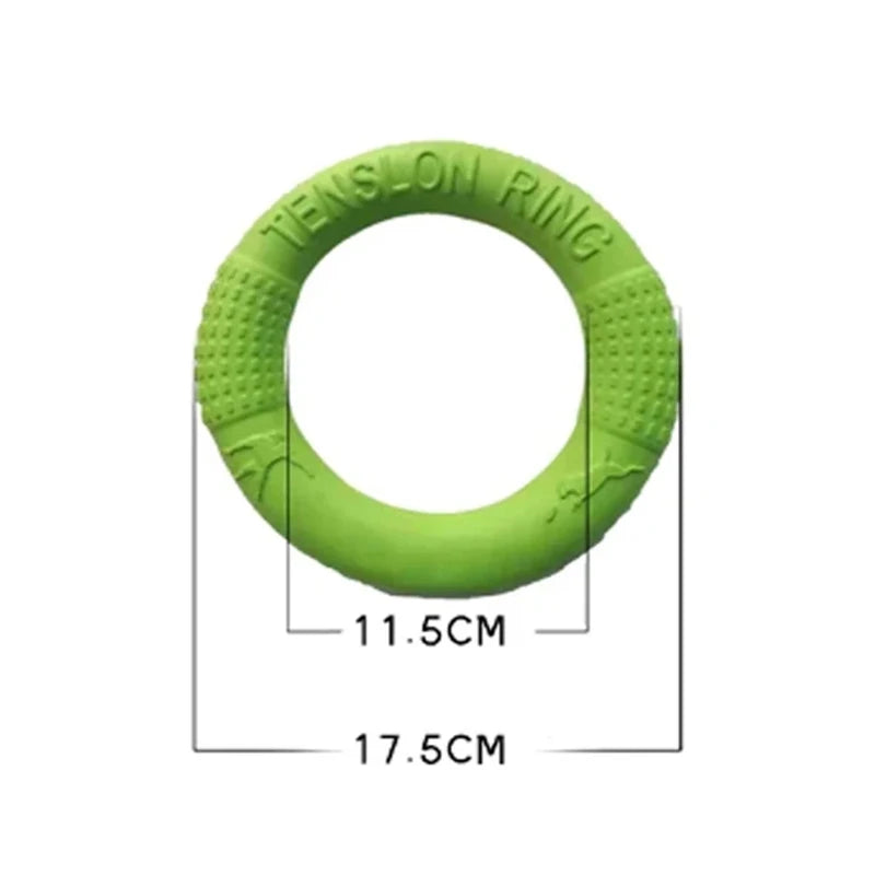 Fun Fetch Ring for Dogs