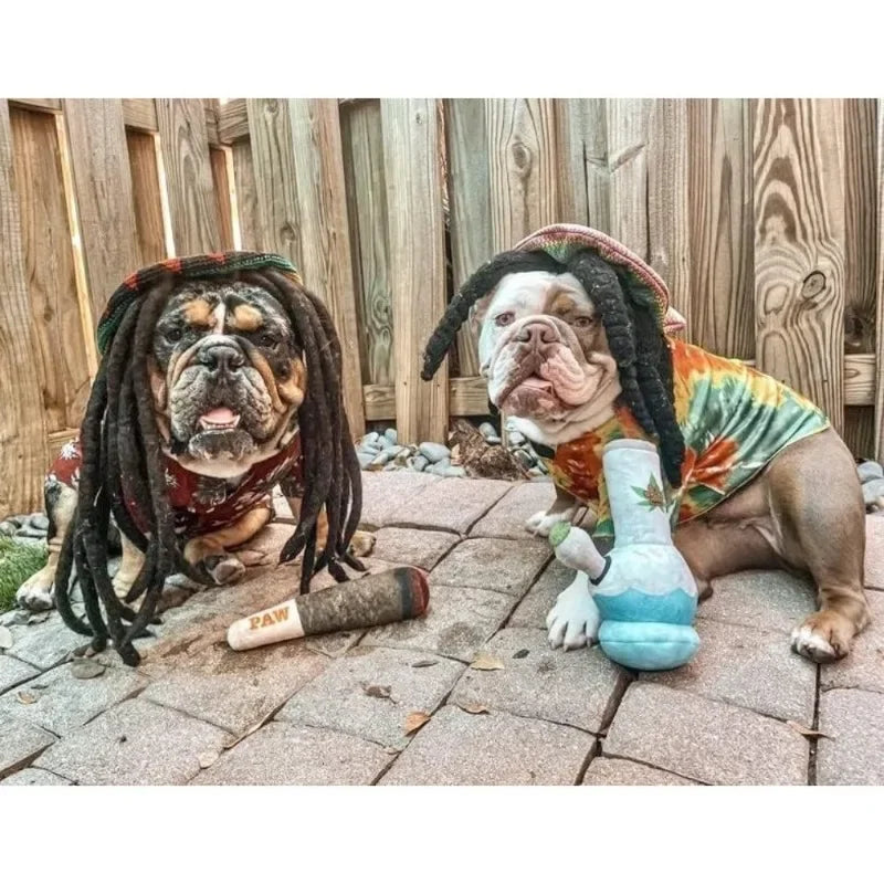 Happy Paws Squeaky Dog Toys