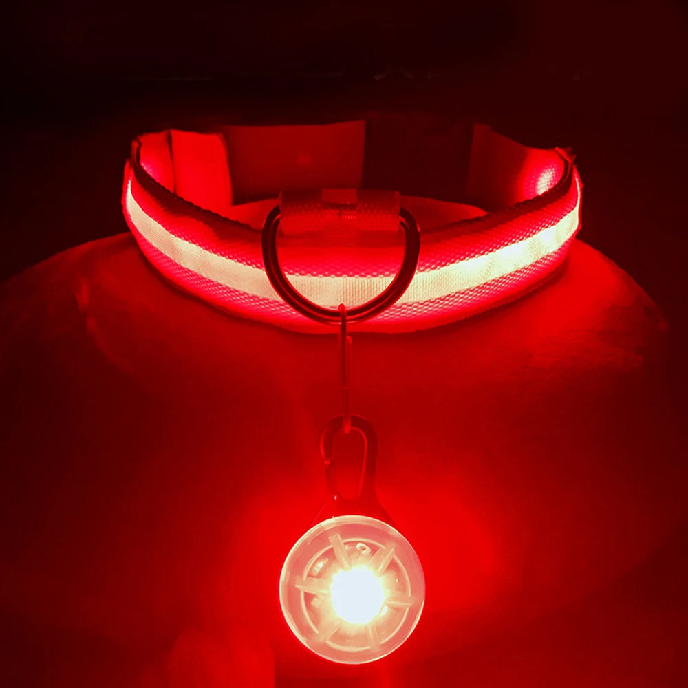 LED Dog Collar - Adjustable, Waterproof, Night Safety Light