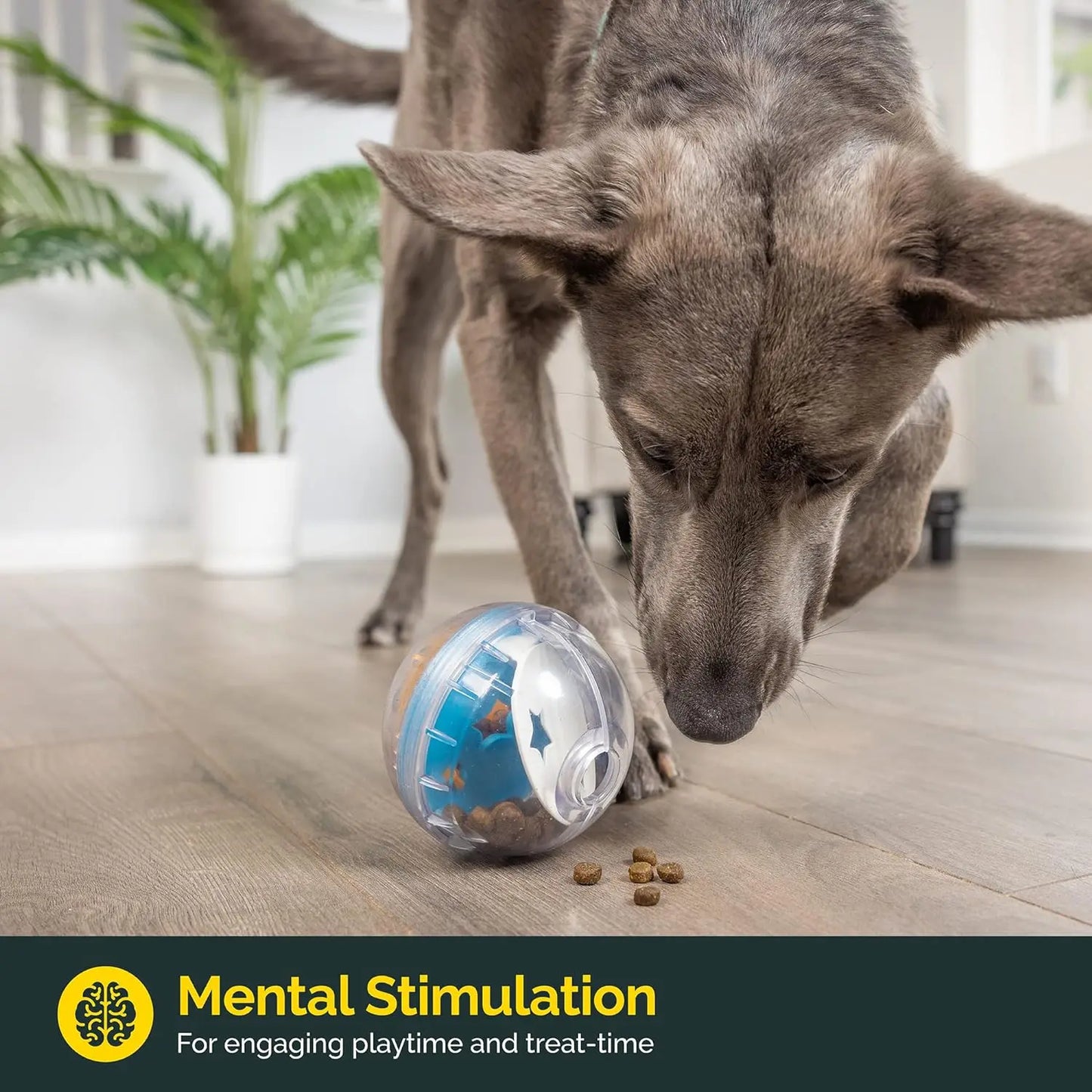 Interactive Treat Ball for Happy Dogs