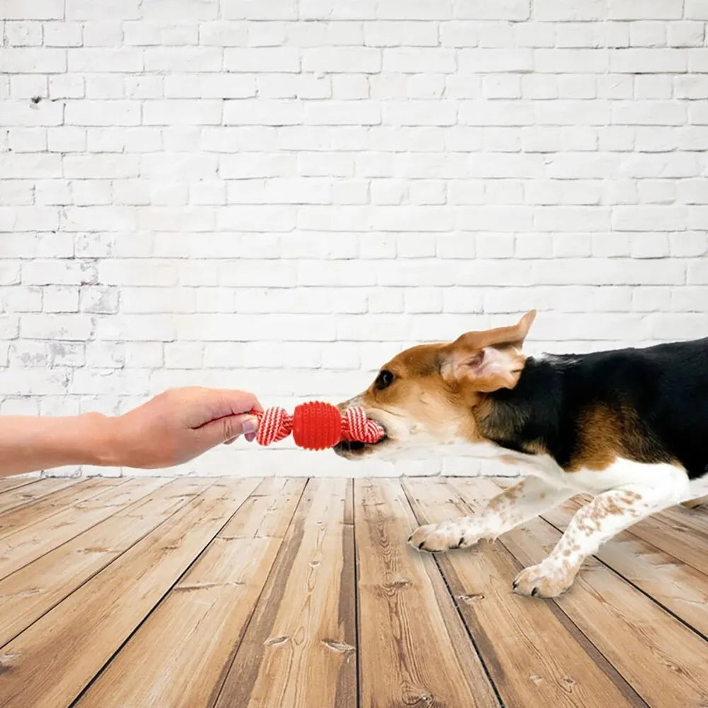 Puppy Play & Clean Rope