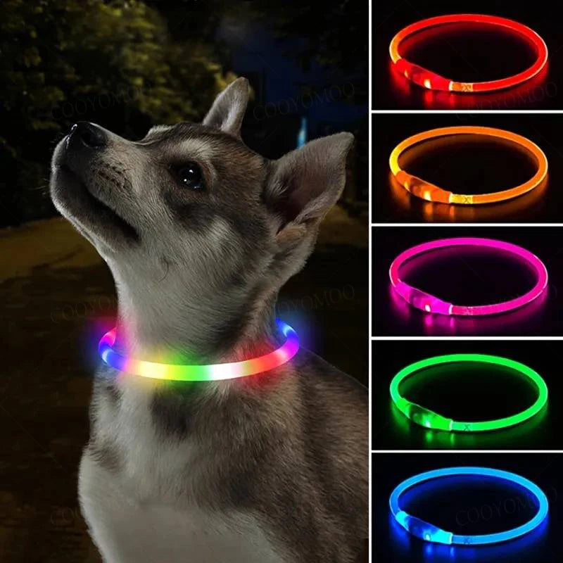 Multicolor LED Dog Collar - Bright, Waterproof, and Rechargeable