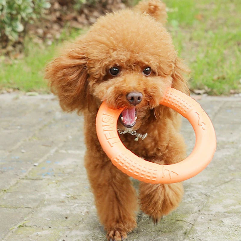 Fun Fetch Ring for Dogs