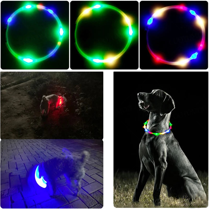 Multicolor LED Dog Collar - Bright, Waterproof, and Rechargeable