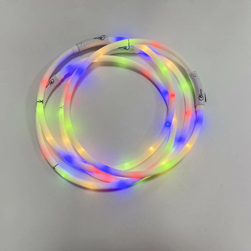 Multicolor LED Dog Collar - Bright, Waterproof, and Rechargeable