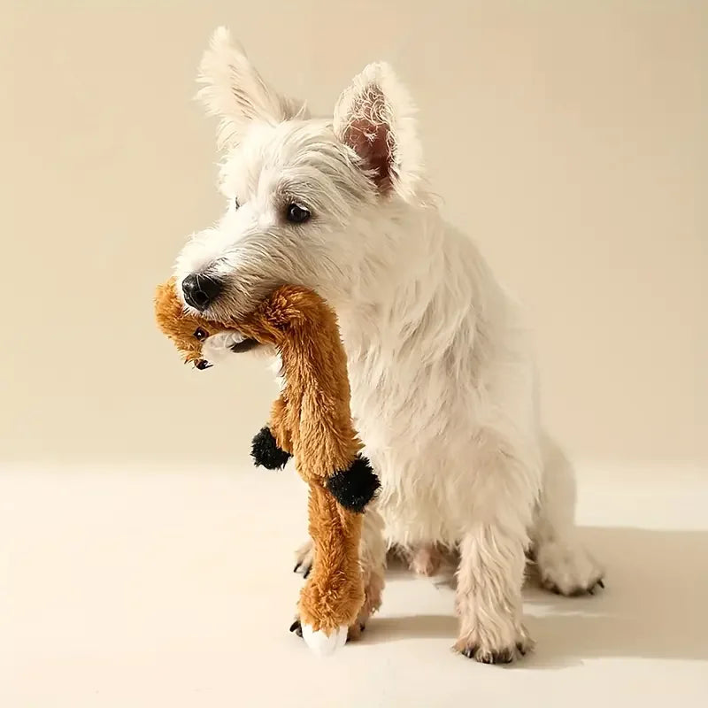 Stuffless Squeaky Dog Toys - Cheerful Chew Pals