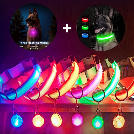 LED Dog Collar - Adjustable, Waterproof, Night Safety Light