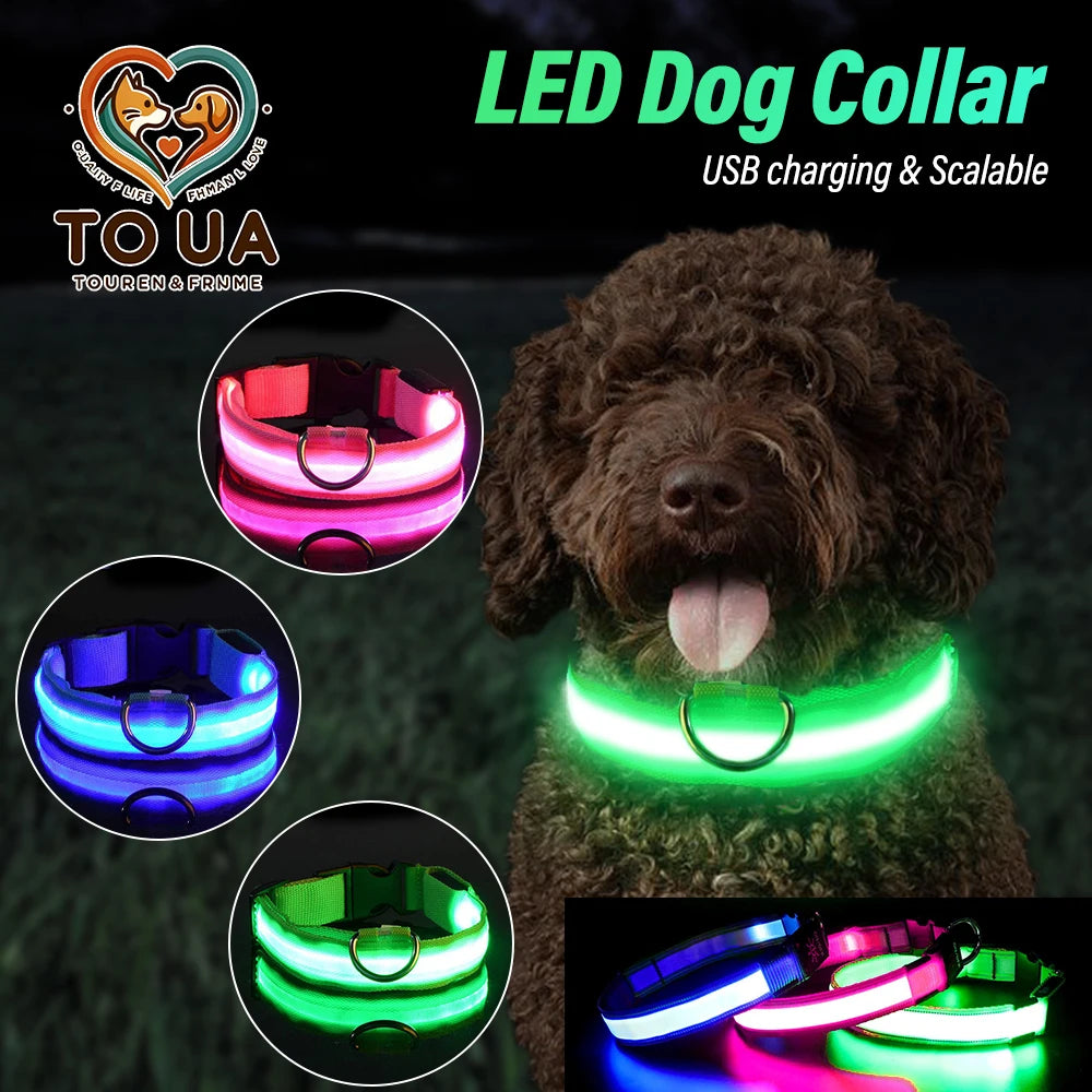 GlowUp LED Dog Collar