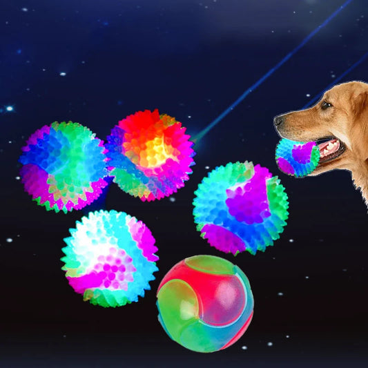 Glow Bounce Fun Ball for Dogs