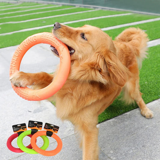 Fun Fetch Ring for Dogs