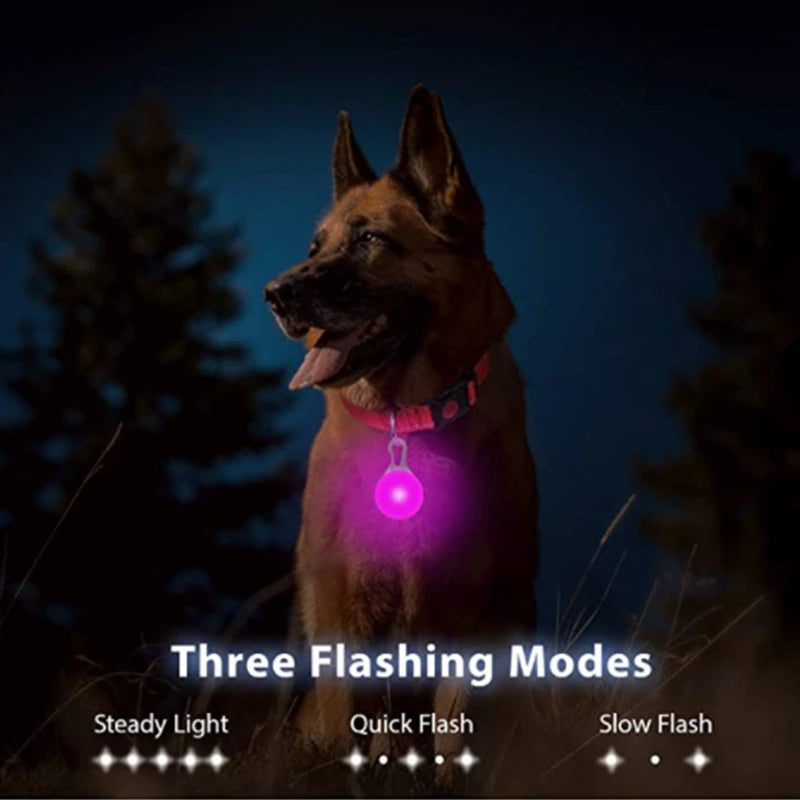 LED Dog Collar - Waterproof Night Light