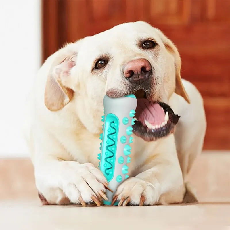 Puppy Smile Chew Stick