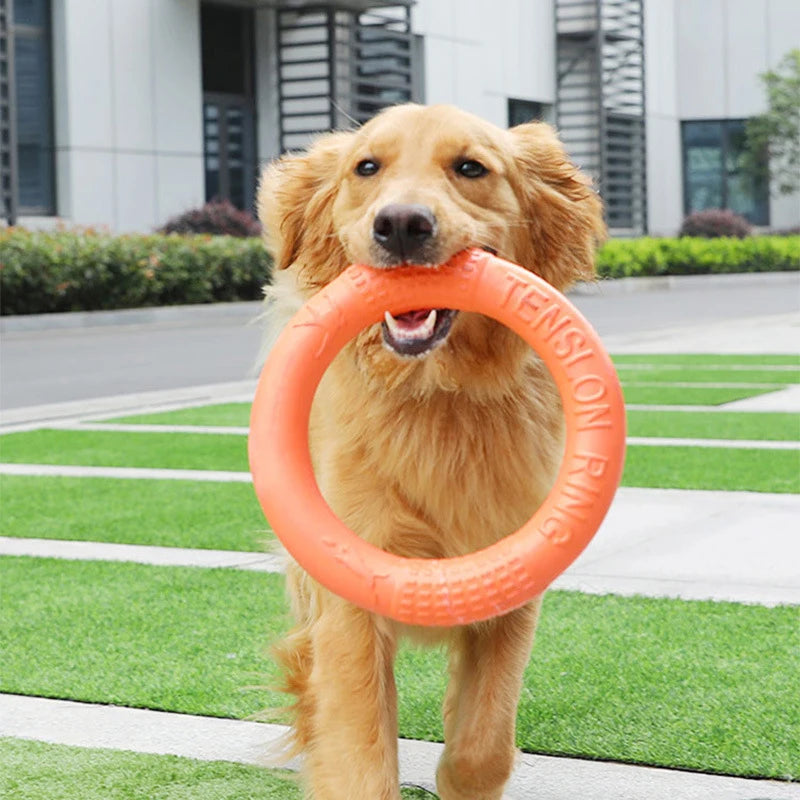 Fun Fetch Ring for Dogs