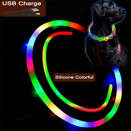 Multicolor LED Dog Collar - Bright, Waterproof, and Rechargeable